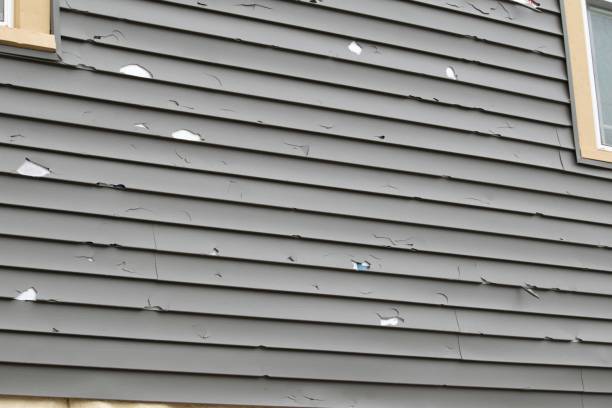  , USA Siding Installation & Repair Pros